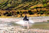 Lance in New Zealand (65k)